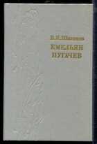 Смотрите обложку книги - предпросмотр