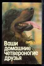 Смотрите обложку книги - предпросмотр