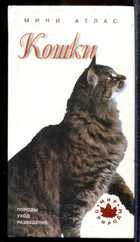 Смотрите обложку книги - предпросмотр