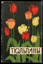 Смотрите обложку книги - предпросмотр