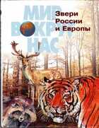 Смотрите обложку книги - предпросмотр