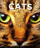 Смотрите обложку книги - предпросмотр