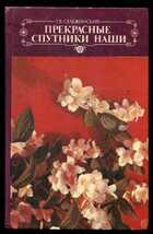 Смотрите обложку книги - предпросмотр