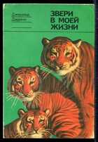 Смотрите обложку книги - предпросмотр