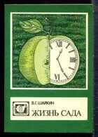 Смотрите обложку книги - предпросмотр