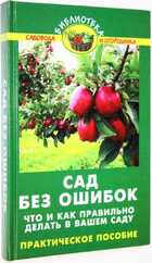 фото - предпросмотр