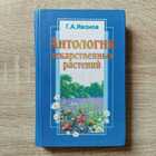 фото - предпросмотр