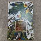 фото - предпросмотр