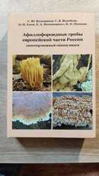 фото - предпросмотр