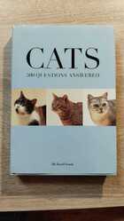 фото - предпросмотр