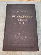 фото - предпросмотр