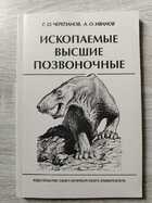 фото - предпросмотр