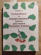 фото - предпросмотр