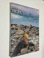 Фото - предпросмотр