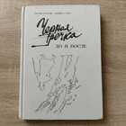 фото - предпросмотр