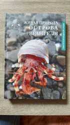 фото - предпросмотр