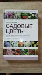 фото - предпросмотр