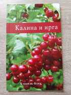 фото - предпросмотр