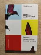 фото - предпросмотр