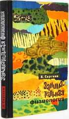 фото - предпросмотр