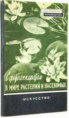 фото - предпросмотр