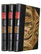 фото - предпросмотр