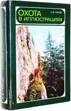 фото - предпросмотр