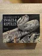 фото - предпросмотр