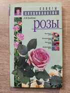 фото - предпросмотр