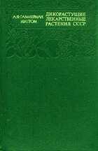 Обложка - предпросмотр
