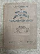 фото - предпросмотр