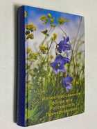 Фото - предпросмотр