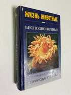 Фото - предпросмотр