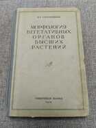 фото - предпросмотр