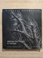 фото - предпросмотр