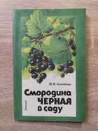 фото - предпросмотр