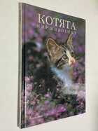 Фото - предпросмотр