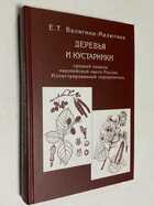 Фото - предпросмотр