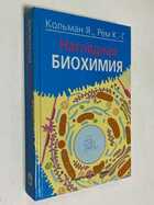 Фото - предпросмотр