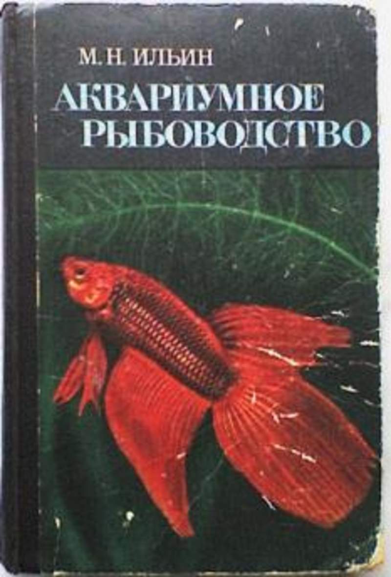 минор в аквариуме. стеллаж под аквариум. аквариумное рыбоводство. аквариумное рыбоводство. разводня аквариумных рыбок.