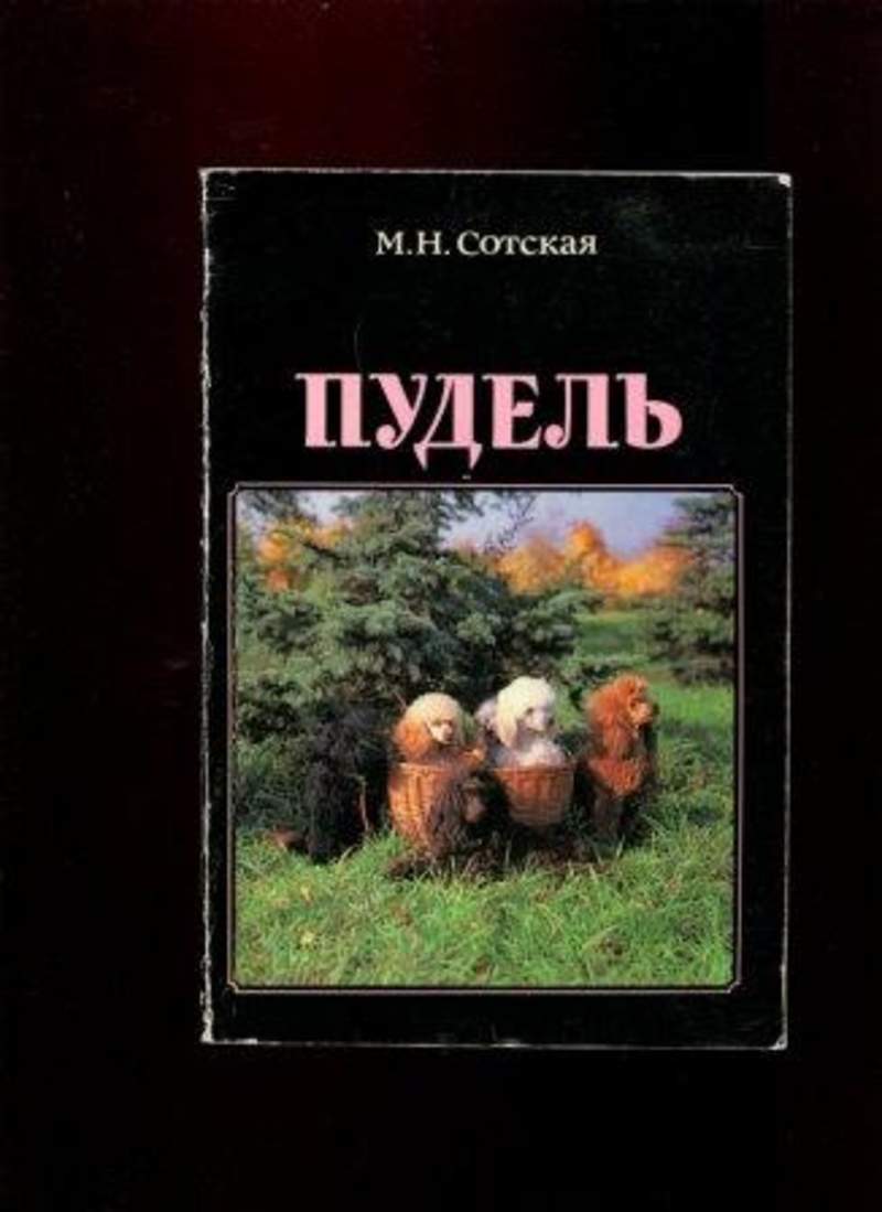 фунтик книга про пуделя. книга пудель. сотская пудель. книга про той пуделей. книга пудель.
