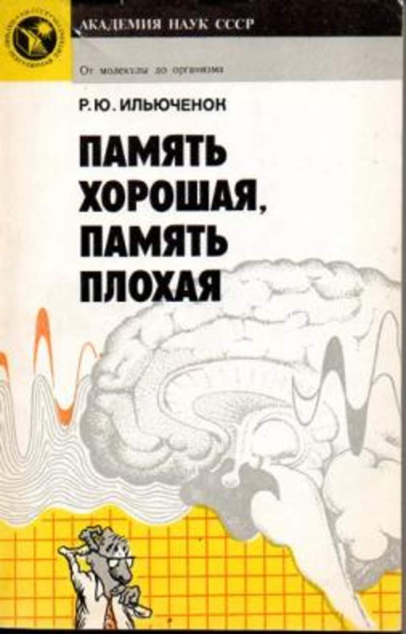 Память ю. Хорошая память плохая память. Книги о памяти человека. Ильюченок память хорошая память плохая. Памяти достойны книга.