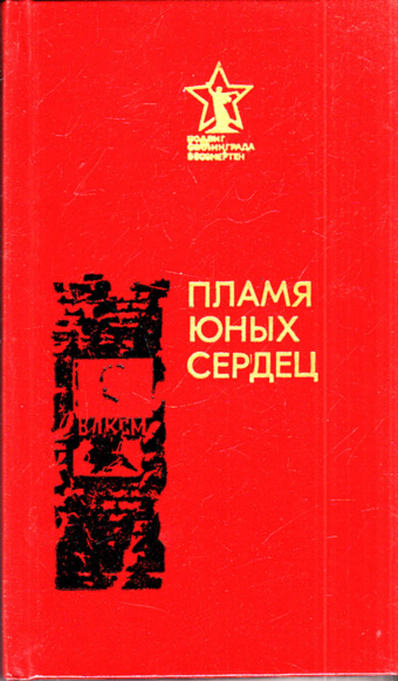 Книга огня. Пламя юных сердец книга. Сердце пламени книга. Огонь сердца книга. Огонь юного сердца.