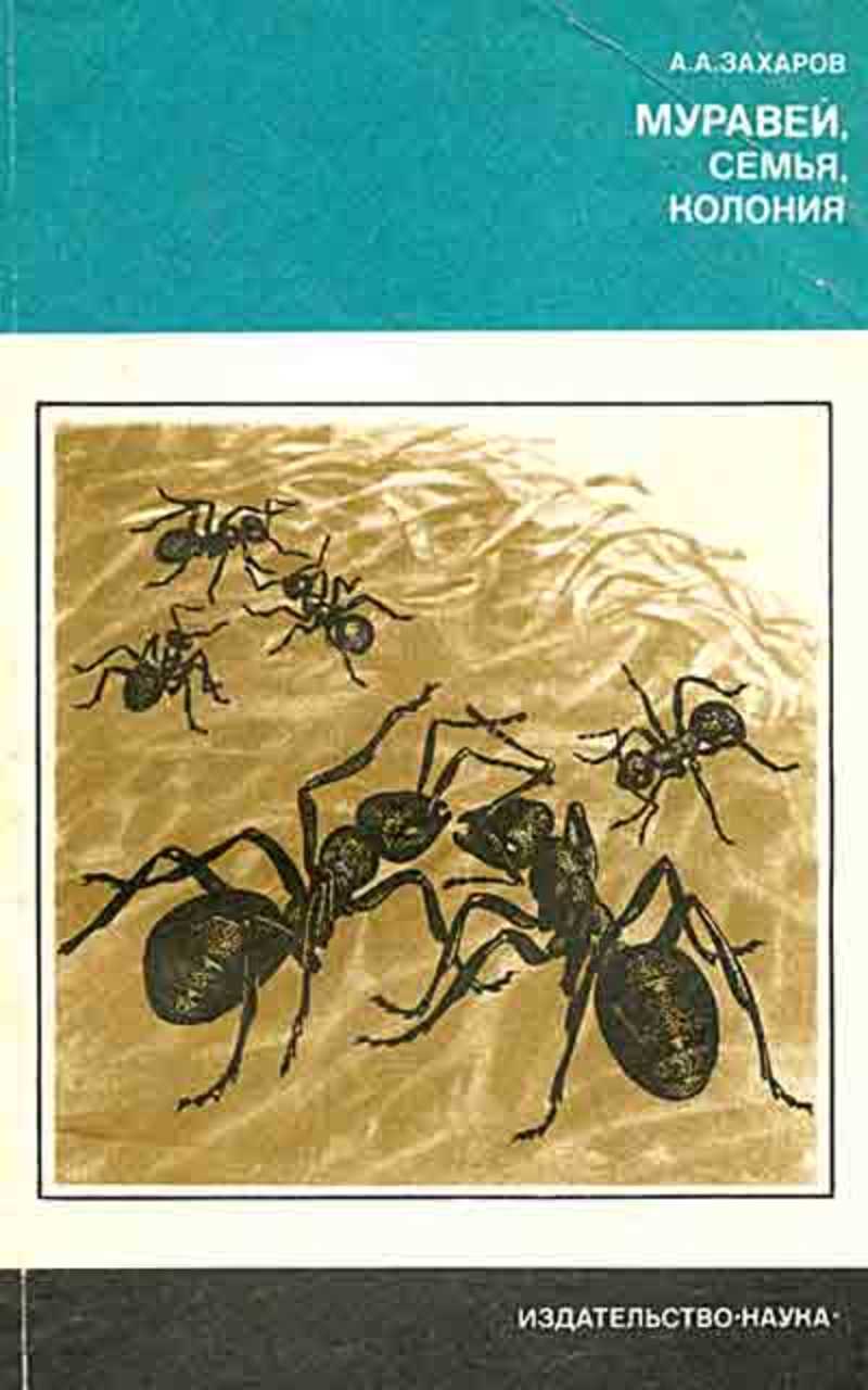 Книга про муравья. Муравей.семья.колония. Книги о муравьях. Энциклопедия о муравьях. Книги о муравьях научные.