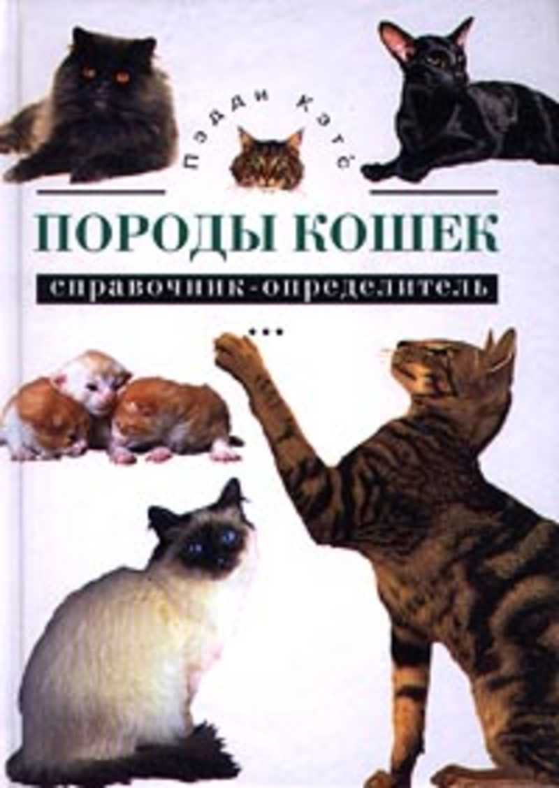 Определитель Породы Кошек Онлайн По Фото