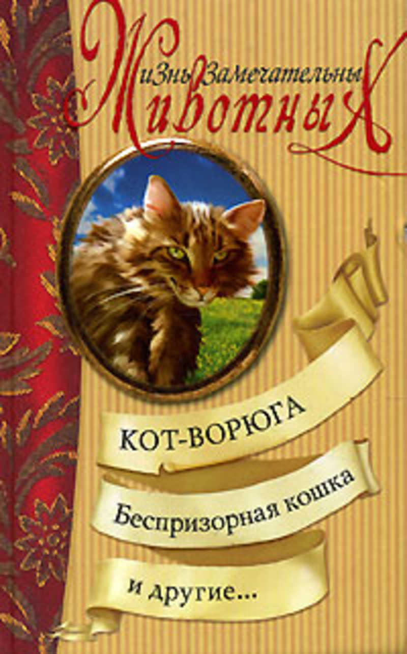 книга друзья коты. Matt the cat бусинка. книга друзья коты. детские приключения. книга друзья коты.