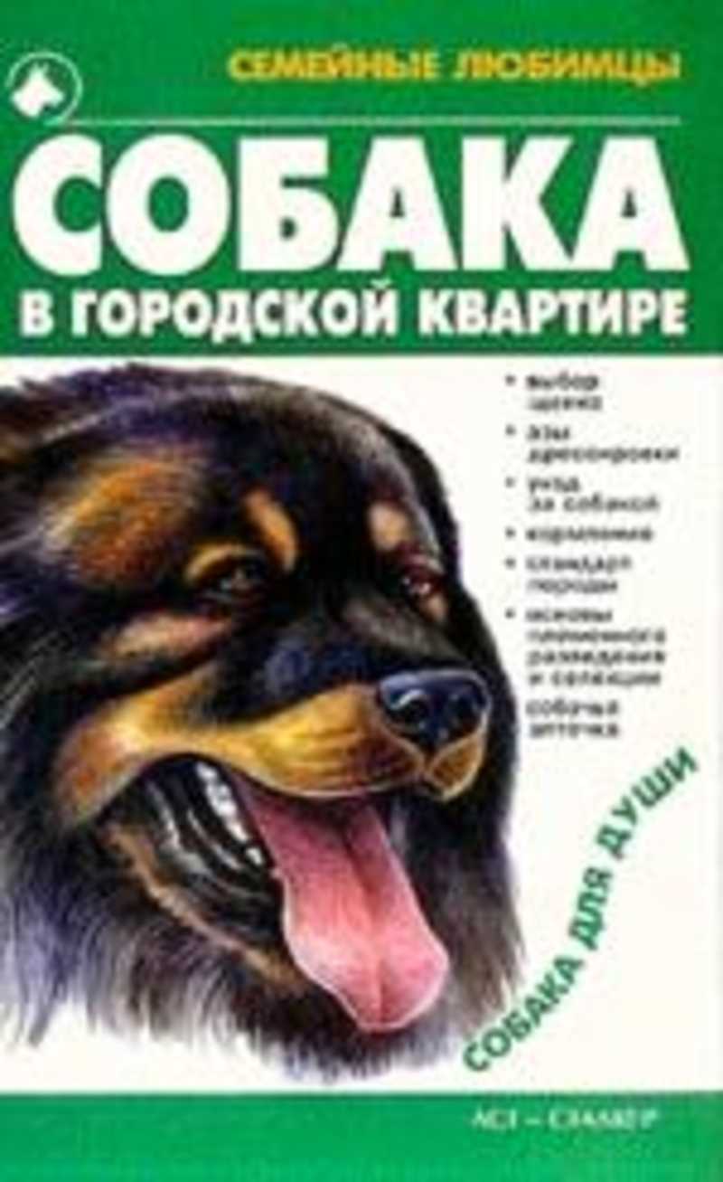 Жизнь собаки книга. Книги про собак. Город собак книга. Книги о собаках для детей. Жизнь и цель собаки книга.
