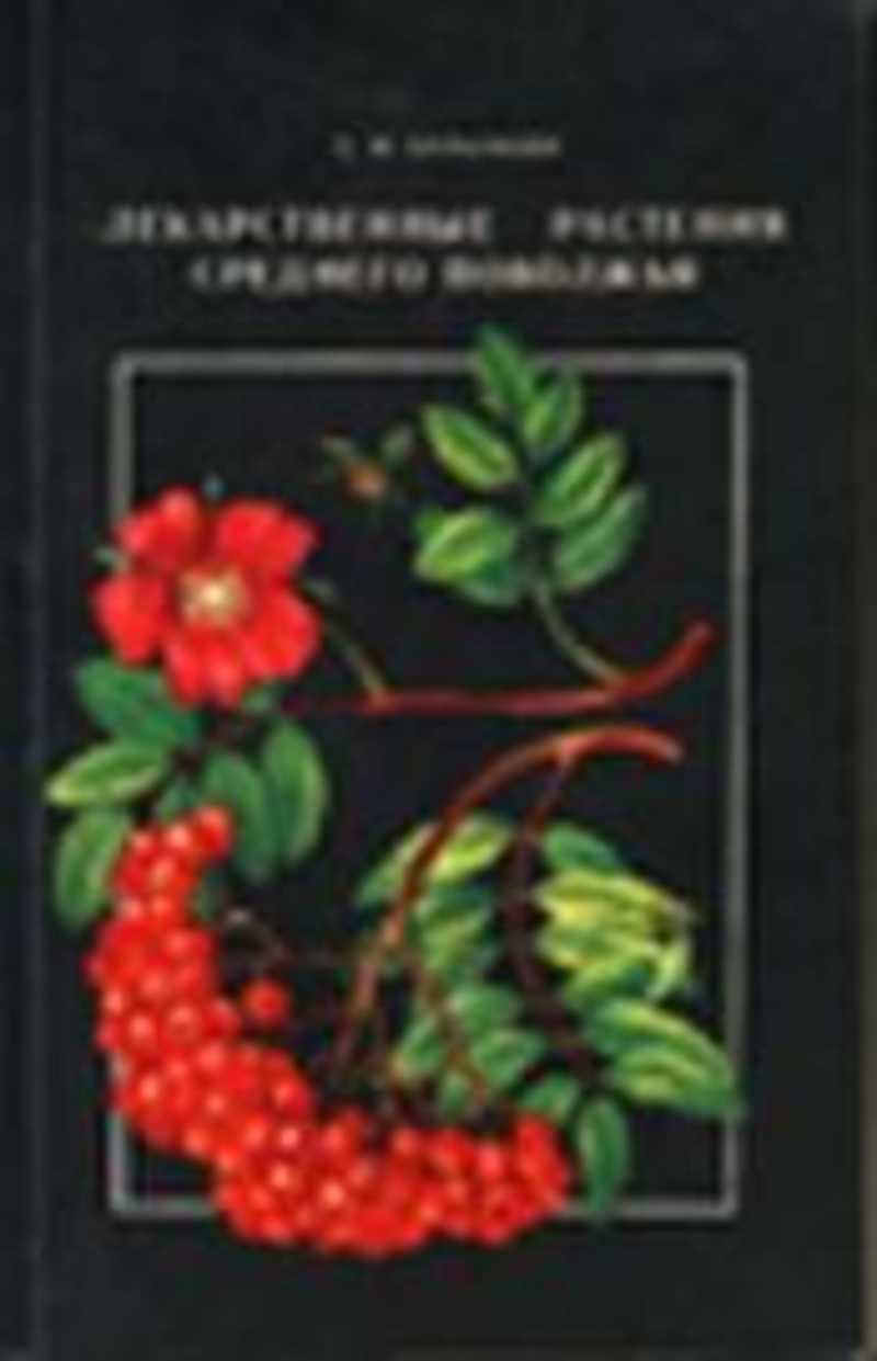 примула amethyst ice. гвоздика супра вайт. определитель лекарственных растений. интернет магазин цветок поволжья. гвоздика перистая энджел оф хоуп.