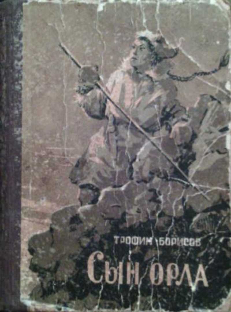 Попаданец в сына сталина. Сын орла читать. Сын орла читать. Орел читает книгу. Книга попаданец.