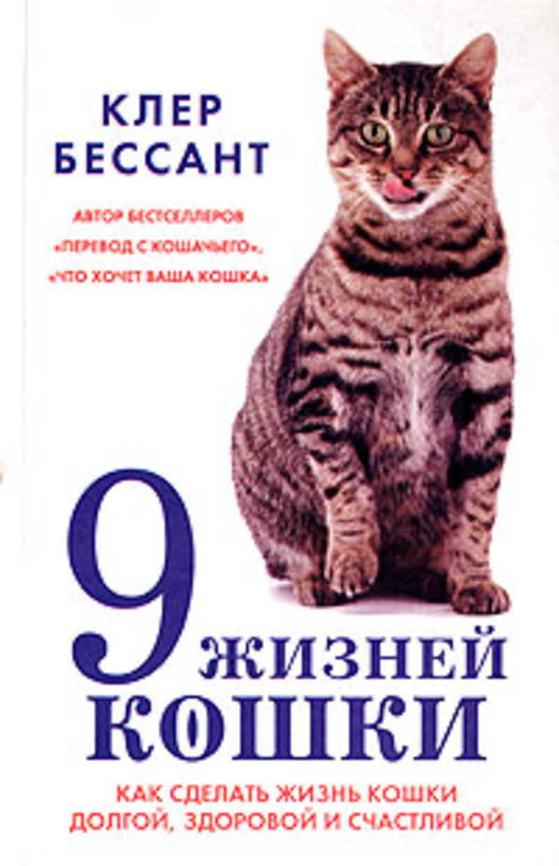 9 кошек. Клер Бессант кошки. Обложка книги ваша кошка. 9 Жизней кошки. 9 Жизней кошки книга.